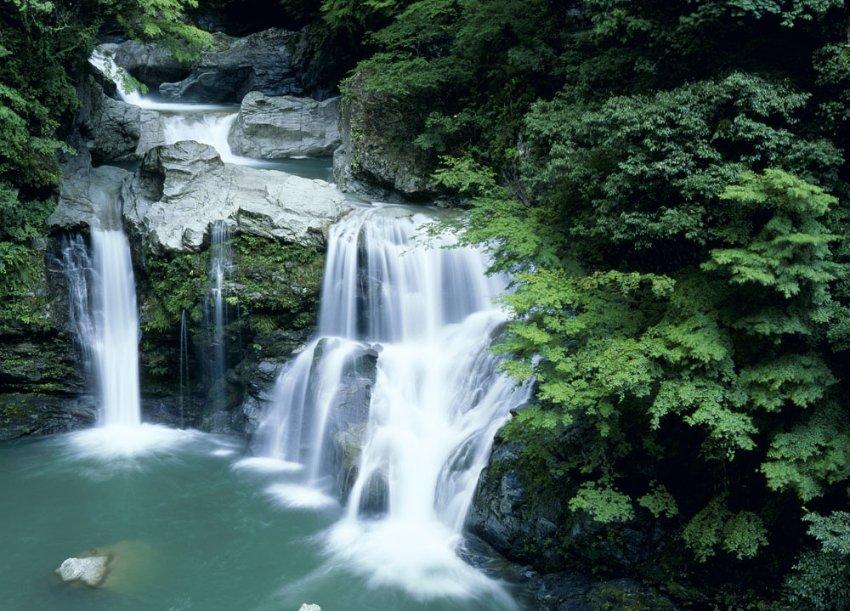 小汪汪